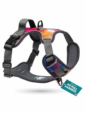 Embark “Aurora” Multicolor Gradient No-Pull Dog Harness - Medium